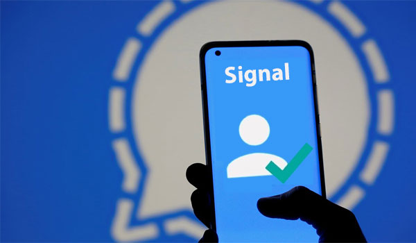 Comment savoir si un contact est en ligne sur Signal ?